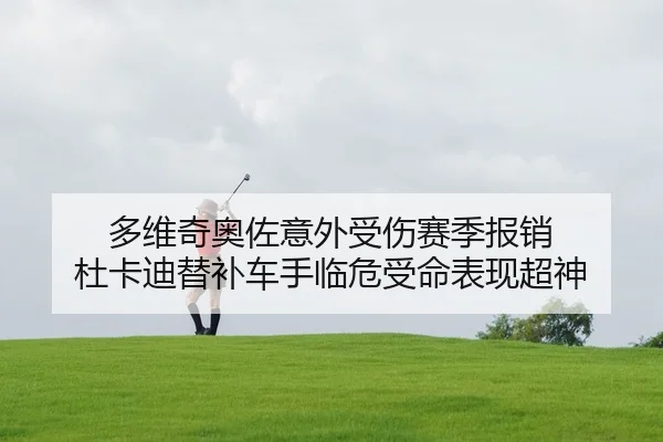 多维奇奥佐意外受伤赛季报销 杜卡迪替补车手临危受命表现超神